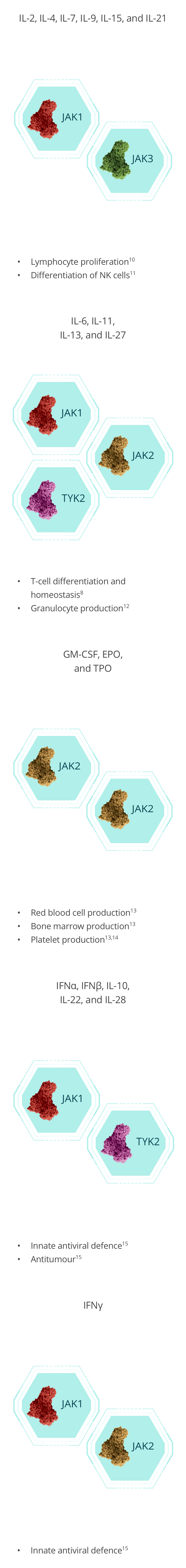Key cytokines of the JAKSTAT pathway infographic